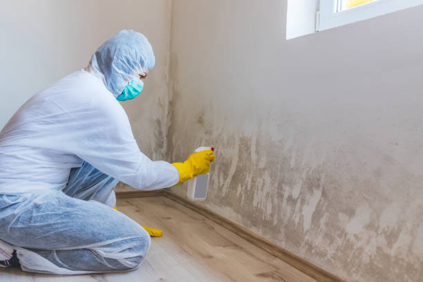 Hvac And Air Duct Mold Remediation inspection of HVAC system in Hummelstown