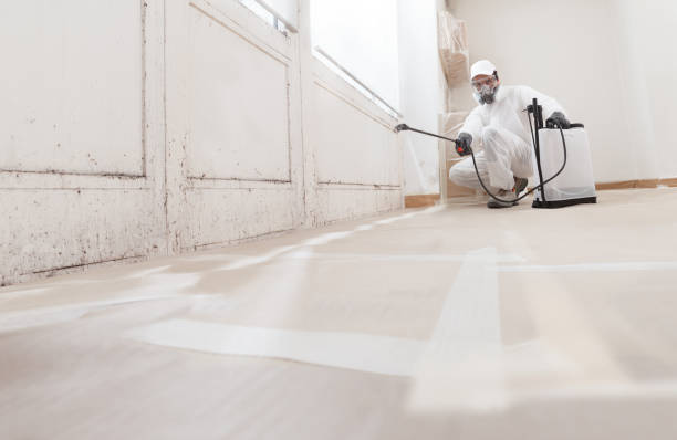 Black mold remediation team in Hummelstown
